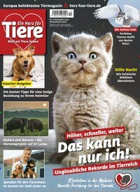 Titelbild der Ausgabe 12/2023 von Ein Herz für Tiere. Diese Zeitschrift und viele weitere Elternzeitschriften und Tierzeitschriften als Abo oder epaper bei United Kiosk online kaufen.