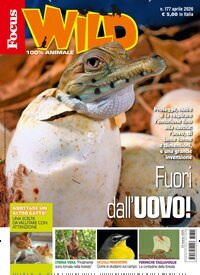 Titelbild der Ausgabe 4/2026 von Focus Wild . Diese Zeitschrift und viele weitere Jugendzeitschriften und Kinderzeitschriften als Abo oder epaper bei United Kiosk online kaufen.