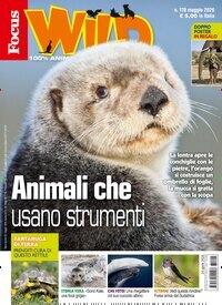 Titelbild der Ausgabe 5/2026 von Focus Wild . Diese Zeitschrift und viele weitere Jugendzeitschriften und Kinderzeitschriften als Abo oder epaper bei United Kiosk online kaufen.