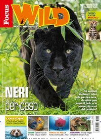 Titelbild der Ausgabe 8/2025 von Focus Wild . Diese Zeitschrift und viele weitere Jugendzeitschriften und Kinderzeitschriften als Abo oder epaper bei United Kiosk online kaufen.