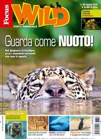 Titelbild der Ausgabe 8/2026 von Focus Wild . Diese Zeitschrift und viele weitere Jugendzeitschriften und Kinderzeitschriften als Abo oder epaper bei United Kiosk online kaufen.