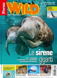 Titelbild der Ausgabe 9/2026 von Focus Wild . Diese Zeitschrift und viele weitere Jugendzeitschriften und Kinderzeitschriften als Abo oder epaper bei United Kiosk online kaufen.