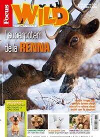Titelbild der Ausgabe 13/2025 von Focus Wild . Diese Zeitschrift und viele weitere Jugendzeitschriften und Kinderzeitschriften als Abo oder epaper bei United Kiosk online kaufen.