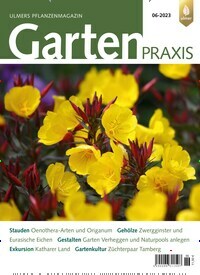 Titelbild der Ausgabe 6/2023 von Gartenpraxis. Diese Zeitschrift und viele weitere Naturzeitschriften, Landwirtschaftszeitungen und Umweltmagazine als Abo oder epaper bei United Kiosk online kaufen.