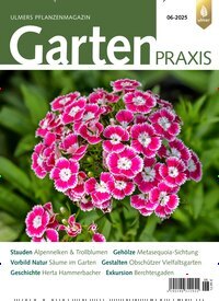 Titelbild der Ausgabe 6/2025 von Gartenpraxis. Diese Zeitschrift und viele weitere Naturzeitschriften, Landwirtschaftszeitungen und Umweltmagazine als Abo oder epaper bei United Kiosk online kaufen.