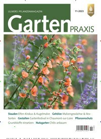 Titelbild der Ausgabe 11/2023 von Gartenpraxis. Diese Zeitschrift und viele weitere Naturzeitschriften, Landwirtschaftszeitungen und Umweltmagazine als Abo oder epaper bei United Kiosk online kaufen.