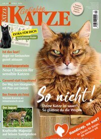 Titelbild der Ausgabe 4/2026 von Geliebte Katze. Diese Zeitschrift und viele weitere Elternzeitschriften und Tierzeitschriften als Abo oder epaper bei United Kiosk online kaufen.