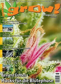 Titelbild der Ausgabe 6/2022 von grow! Magazin. Diese Zeitschrift und viele weitere Lifestylemagazine und Peoplemagazine als Abo oder epaper bei United Kiosk online kaufen.