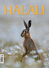 Titelbild der Ausgabe 2/2025 von Halali. Diese Zeitschrift und viele weitere Sportmagazine als Abo oder epaper bei United Kiosk online kaufen.
