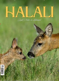 Titelbild der Ausgabe 2/2026 von Halali. Diese Zeitschrift und viele weitere Sportmagazine als Abo oder epaper bei United Kiosk online kaufen.