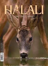 Titelbild der Ausgabe 3/2026 von Halali. Diese Zeitschrift und viele weitere Sportmagazine als Abo oder epaper bei United Kiosk online kaufen.