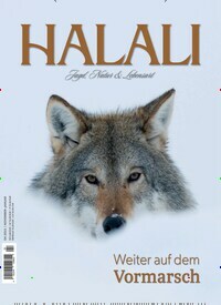 Titelbild der Ausgabe 4/2022 von Halali. Diese Zeitschrift und viele weitere Sportmagazine als Abo oder epaper bei United Kiosk online kaufen.