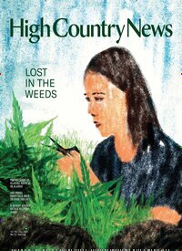 Titelbild der Ausgabe 7/2026 von High Country News. Diese Zeitschrift und viele weitere Wirtschaftsmagazine und Politikmagazine als Abo oder epaper bei United Kiosk online kaufen.