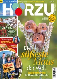 Titelbild von News - die Zeitschriften-Flat. Diese Zeitschrift und viele weitere Frauenzeitschriften als Abo oder epaper bei United Kiosk online kaufen.