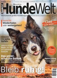 Titelbild der Ausgabe 6/2025 von Hundewelt. Diese Zeitschrift und viele weitere Elternzeitschriften und Tierzeitschriften als Abo oder epaper bei United Kiosk online kaufen.