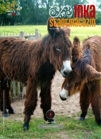 Titelbild der Ausgabe 198/2025 von INKA Stadtmagazin. Diese Zeitschrift und viele weitere Lifestylemagazine und Peoplemagazine als Abo oder epaper bei United Kiosk online kaufen.