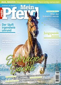 Titelbild der Ausgabe 80/2020 von Mein Pferd. Diese Zeitschrift und viele weitere Sportmagazine als Abo oder epaper bei United Kiosk online kaufen.