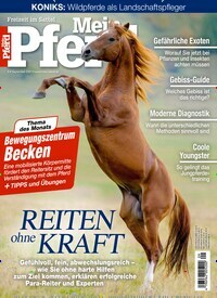 Titelbild der Ausgabe 90/2021 von Mein Pferd. Diese Zeitschrift und viele weitere Sportmagazine als Abo oder epaper bei United Kiosk online kaufen.