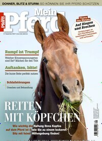 Titelbild der Ausgabe 90/2022 von Mein Pferd. Diese Zeitschrift und viele weitere Sportmagazine als Abo oder epaper bei United Kiosk online kaufen.