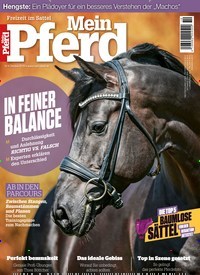 Titelbild der Ausgabe 100/2018 von Mein Pferd. Diese Zeitschrift und viele weitere Sportmagazine als Abo oder epaper bei United Kiosk online kaufen.