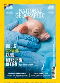 Titelbild der Ausgabe 6/2025 von National Geographic Deutschland. Diese Zeitschrift und viele weitere Reisemagazine, Freizeitmagazine und Wissensmagazine als Abo oder epaper bei United Kiosk online kaufen.