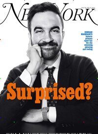 Titelbild der Ausgabe 15/2025 von New York Magazine. Diese Zeitschrift und viele weitere Wirtschaftsmagazine und Politikmagazine als Abo oder epaper bei United Kiosk online kaufen.