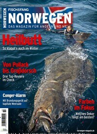 Titelbild der Ausgabe 14/2019 von Norwegen. Diese Zeitschrift und viele weitere Sportmagazine als Abo oder epaper bei United Kiosk online kaufen.