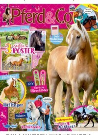 Titelbild der Ausgabe 2/2026 von Pferd & Co. Diese Zeitschrift und viele weitere Jugendzeitschriften und Kinderzeitschriften als Abo oder epaper bei United Kiosk online kaufen.