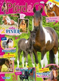 Titelbild der Ausgabe 3/2026 von Pferd & Co. Diese Zeitschrift und viele weitere Jugendzeitschriften und Kinderzeitschriften als Abo oder epaper bei United Kiosk online kaufen.