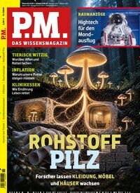 Titelbild der Ausgabe 11/2026 von PM. Diese Zeitschrift und viele weitere Reisemagazine, Freizeitmagazine und Wissensmagazine als Abo oder epaper bei United Kiosk online kaufen.