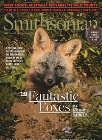 Titelbild der Ausgabe 2/2026 von Smithsonian Magazine. Diese Zeitschrift und viele weitere Reisemagazine, Freizeitmagazine und Wissensmagazine als Abo oder epaper bei United Kiosk online kaufen.