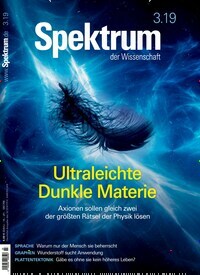 Titelbild der Ausgabe 3/2019 von Spektrum der Wissenschaft. Diese Zeitschrift und viele weitere Reisemagazine, Freizeitmagazine und Wissensmagazine als Abo oder epaper bei United Kiosk online kaufen.