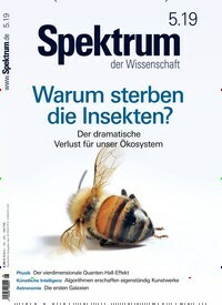 Titelbild der Ausgabe 5/2019 von Spektrum der Wissenschaft. Diese Zeitschrift und viele weitere Reisemagazine, Freizeitmagazine und Wissensmagazine als Abo oder epaper bei United Kiosk online kaufen.
