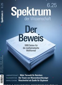 Titelbild der Ausgabe 6/2025 von Spektrum der Wissenschaft. Diese Zeitschrift und viele weitere Reisemagazine, Freizeitmagazine und Wissensmagazine als Abo oder epaper bei United Kiosk online kaufen.