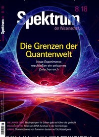Titelbild der Ausgabe 8/2018 von Spektrum der Wissenschaft. Diese Zeitschrift und viele weitere Reisemagazine, Freizeitmagazine und Wissensmagazine als Abo oder epaper bei United Kiosk online kaufen.