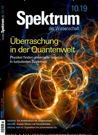 Titelbild der Ausgabe 10/2019 von Spektrum der Wissenschaft. Diese Zeitschrift und viele weitere Reisemagazine, Freizeitmagazine und Wissensmagazine als Abo oder epaper bei United Kiosk online kaufen.