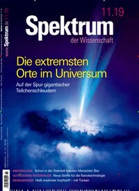 Titelbild der Ausgabe 11/2019 von Spektrum der Wissenschaft. Diese Zeitschrift und viele weitere Reisemagazine, Freizeitmagazine und Wissensmagazine als Abo oder epaper bei United Kiosk online kaufen.