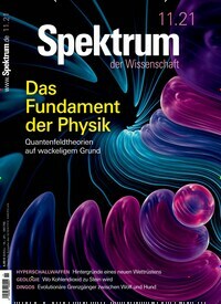 Titelbild der Ausgabe 11/2021 von Spektrum der Wissenschaft. Diese Zeitschrift und viele weitere Reisemagazine, Freizeitmagazine und Wissensmagazine als Abo oder epaper bei United Kiosk online kaufen.