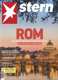Titelbild der Ausgabe 24/2025 von stern. Diese Zeitschrift und viele weitere Wirtschaftsmagazine und Politikmagazine als Abo oder epaper bei United Kiosk online kaufen.