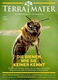 Titelbild der Ausgabe 4/2019 von Terra Mater. Diese Zeitschrift und viele weitere Reisemagazine, Freizeitmagazine und Wissensmagazine als Abo oder epaper bei United Kiosk online kaufen.