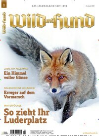 Titelbild der Ausgabe 1/2020 von Wild und Hund. Diese Zeitschrift und viele weitere Sportmagazine als Abo oder epaper bei United Kiosk online kaufen.