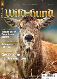 Titelbild der Ausgabe 3/2019 von Wild und Hund. Diese Zeitschrift und viele weitere Sportmagazine als Abo oder epaper bei United Kiosk online kaufen.