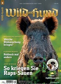 Titelbild der Ausgabe 9/2019 von Wild und Hund. Diese Zeitschrift und viele weitere Sportmagazine als Abo oder epaper bei United Kiosk online kaufen.