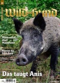 Titelbild der Ausgabe 13/2019 von Wild und Hund. Diese Zeitschrift und viele weitere Sportmagazine als Abo oder epaper bei United Kiosk online kaufen.