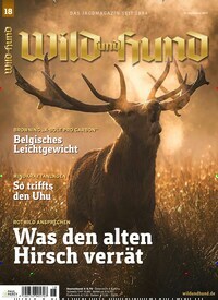 Titelbild der Ausgabe 18/2019 von Wild und Hund. Diese Zeitschrift und viele weitere Sportmagazine als Abo oder epaper bei United Kiosk online kaufen.