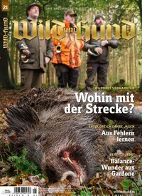 Titelbild der Ausgabe 21/2019 von Wild und Hund. Diese Zeitschrift und viele weitere Sportmagazine als Abo oder epaper bei United Kiosk online kaufen.