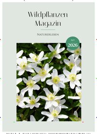 Titelbild der Ausgabe 4/2026 von Wildpflanzen Magazin. Diese Zeitschrift und viele weitere Naturzeitschriften, Landwirtschaftszeitungen und Umweltmagazine als Abo oder epaper bei United Kiosk online kaufen.