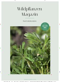 Titelbild der Ausgabe 7/2026 von Wildpflanzen Magazin. Diese Zeitschrift und viele weitere Naturzeitschriften, Landwirtschaftszeitungen und Umweltmagazine als Abo oder epaper bei United Kiosk online kaufen.