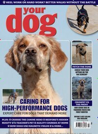 Titelbild der Ausgabe 3/2026 von Your Dog UK. Diese Zeitschrift und viele weitere Reisemagazine, Freizeitmagazine und Wissensmagazine als Abo oder epaper bei United Kiosk online kaufen.