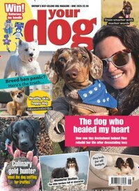 Titelbild der Ausgabe 6/2026 von Your Dog UK. Diese Zeitschrift und viele weitere Reisemagazine, Freizeitmagazine und Wissensmagazine als Abo oder epaper bei United Kiosk online kaufen.